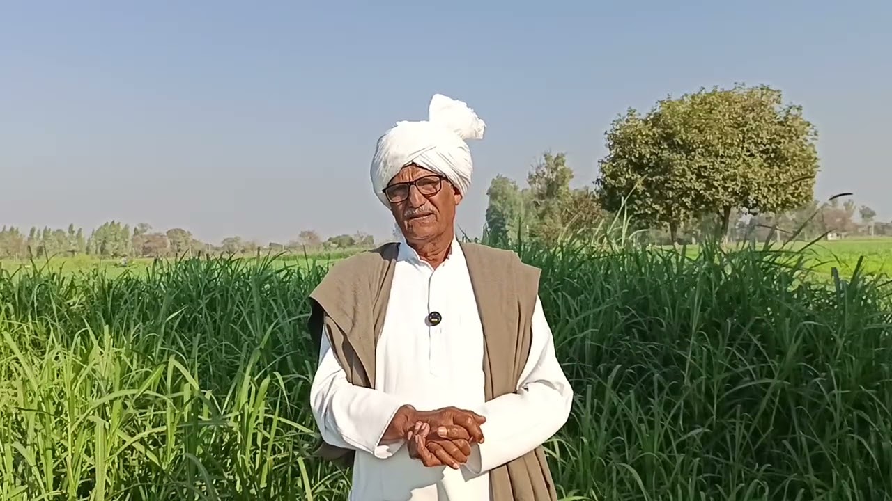 पोलंगी रोहतक में डबल मर्डर के असली दोषी कौन हैं अगर अब भी आंखे नहीं खुली तो बहुत सी जान और भी जा स 