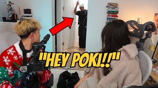 Arky Arrives On The Pokimane X Jason Stream