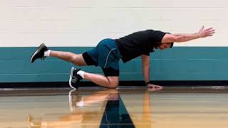 Quadruped Contralateral Reach Stability Exercise