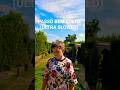 PASSO BEM SOLTO (ULTRA SLOWED) #dance #trend #shorts