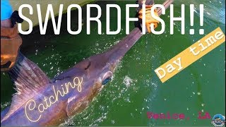 Offshore Fishing - SWORDFISH at a depth of 1,500 ft