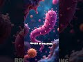 Gut-Brain Axis: Mystical Feelings Decoded