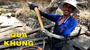 Tát Đìa Bắt Cá Bất Ngờ Bắt Lươn Khủng Trúng Ổ Cá Rô Mề Thấy Mê, Tiệc Nhậu Cười Bể Bụng/NGÃ NĂM TV