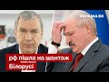 ⚡ Путін поставив жорсткий ультиматум Лукашенку на зустрічі у Сочі – Латушко / росія / Україна 24