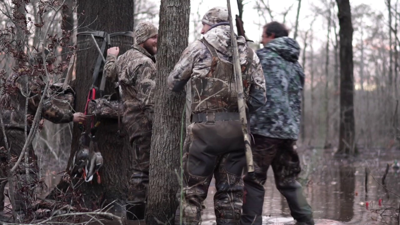 Louisiana Wetlands Timber Duck Hunting YouTube
