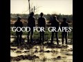 Ten Years In The Park - Good For Grapes