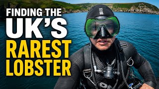 Solo Dive to Find the UK's Rarest Lobster
