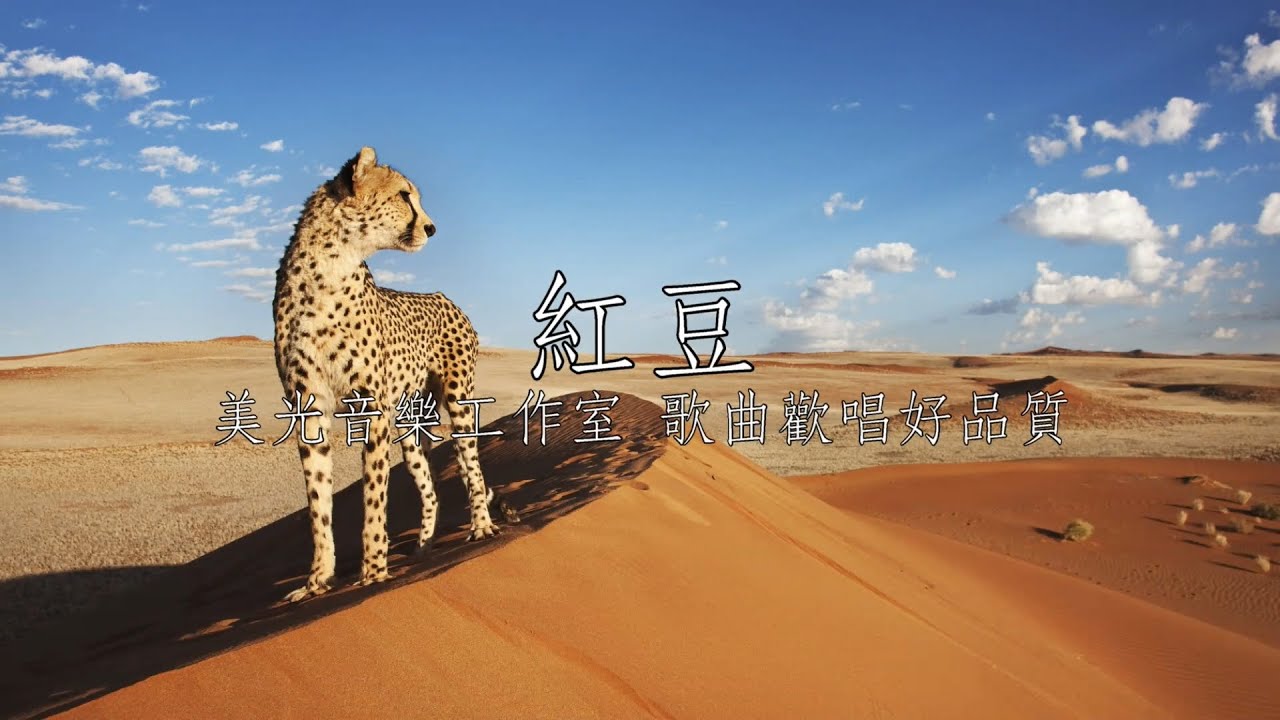 紅豆 謝宜君 男Eb調 全自製伴唱