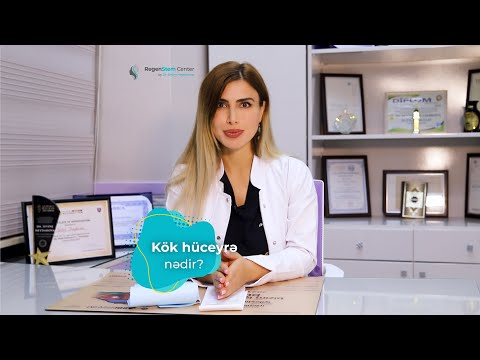 Kök hüceyrə nədir?