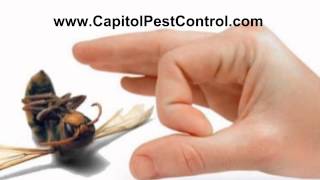 Jackson Pest Control