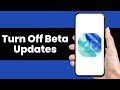 How To Turn Off Beta Updates from iPhone
