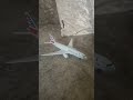 i got ANOTHER New plane modal