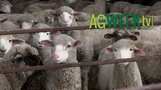 AgweekTV Full Show S06E36