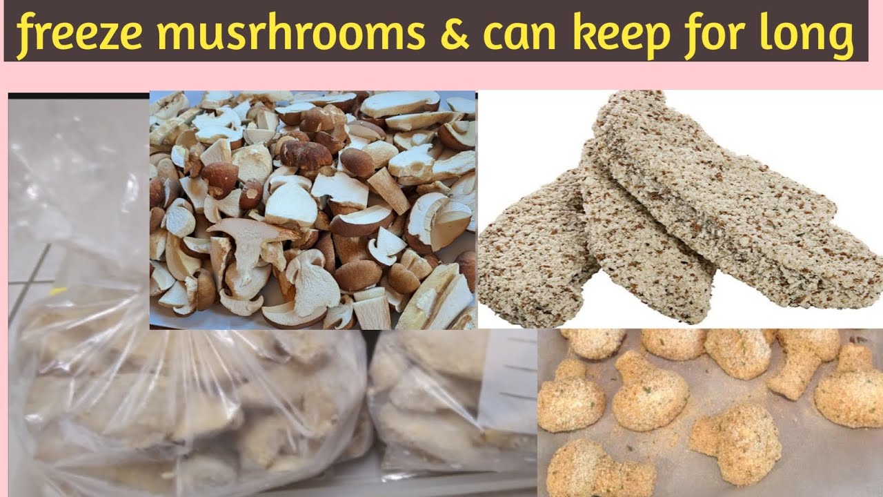 how to freeze mushroom & can keep for long time.cara membekukan jamur