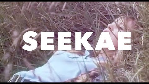 Seekae-"Test & Recognise"-Flume Remix [MUSIC VIDEO]