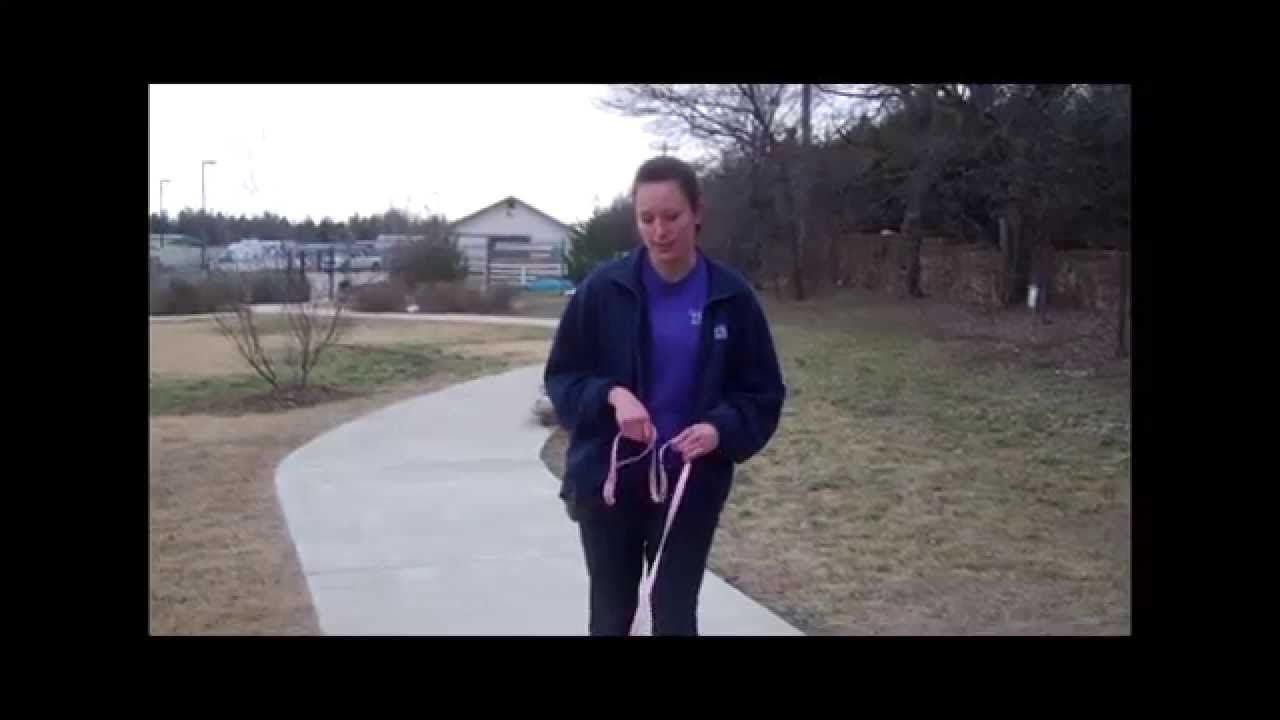 horseshoe bend How To Teach Your Dog Loose-Leash Walking