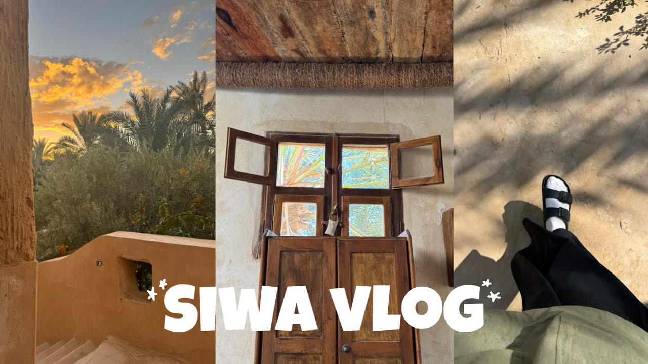 سيوه - نوفمبر ٢٠٢٥