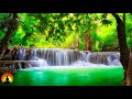 🔴 Relaxing Piano Music 24/7, Study Music, Focus Music, Meditation Music, Piano, Sleep Music, Study