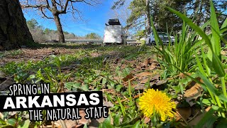 Vanlife During Spring In Arkansas | Camping Can Be Beautiful