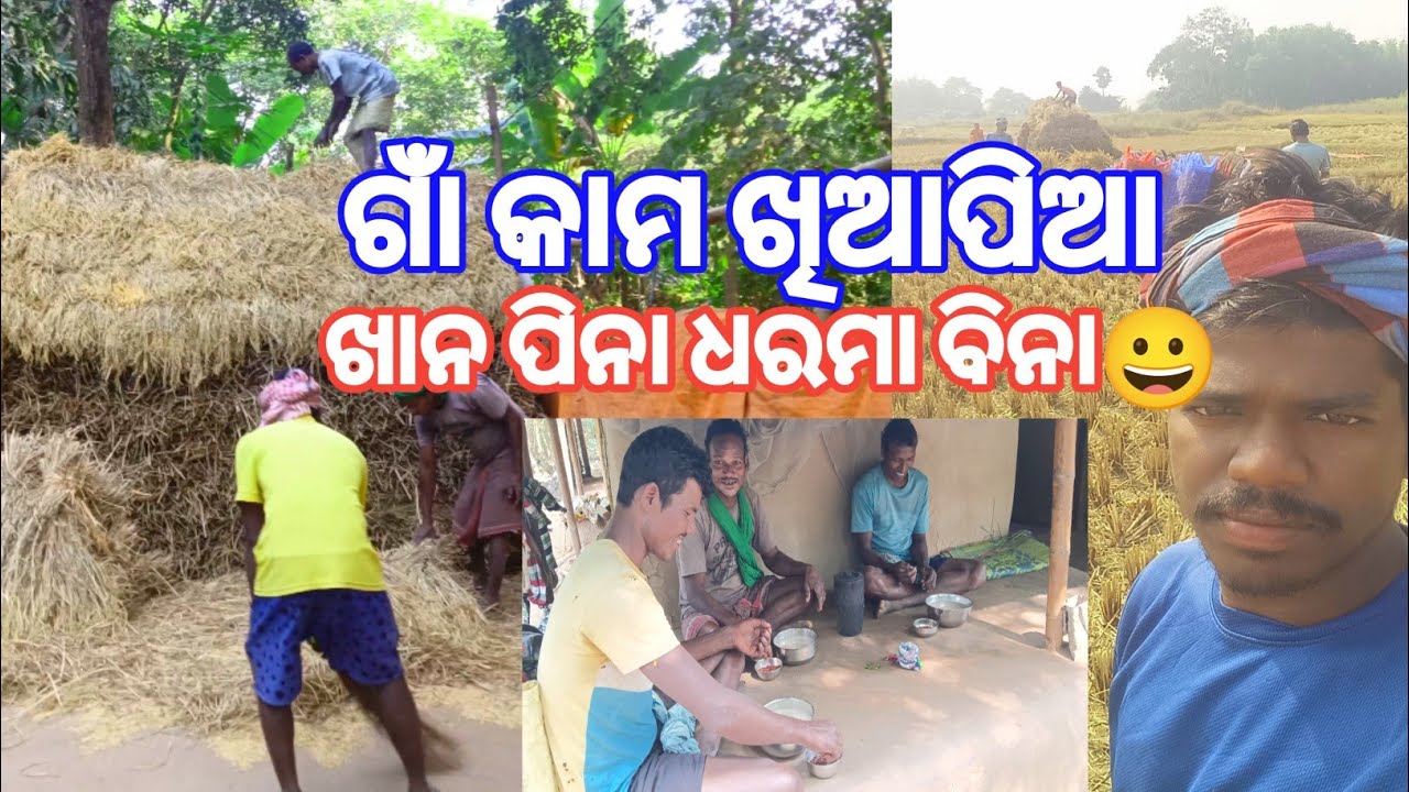 ଗାଁ କାମ ଖିଆପିଆ | ଖାନ ପିନା ଧରମା ବିନା .....😀