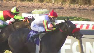 Vidéo de la course PMU PRIX VALLE CENTRAL