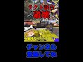 炎上中のラクト談合部屋を荒らしてみたwww#スプラトゥーン3 #ゆっくり実況 #shorts