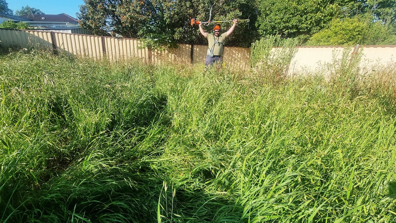 I Was TERRIFIED Mowing This OVERGROWN Jungle In The HOOD! | The WORST ...