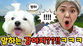 [ENG sub]말하는 강아지가 있다??! ㅋㅋ할머니도 놀란 사랑이 오징어게임 성대모사 개인기 | HIU VLOG 하이로그 screenshot 3