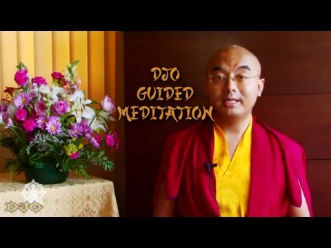 Guided Meditation - DJO