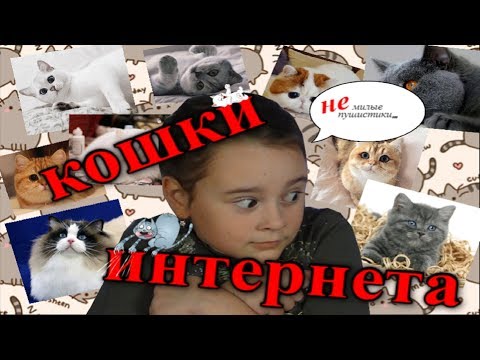 (Не)милые пушистики интернета
