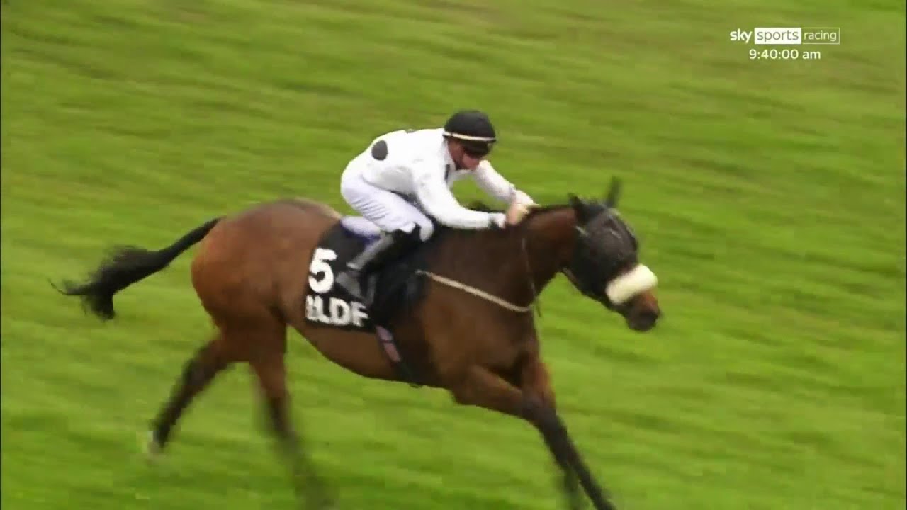 Judicial | Horse Of A Lifetime