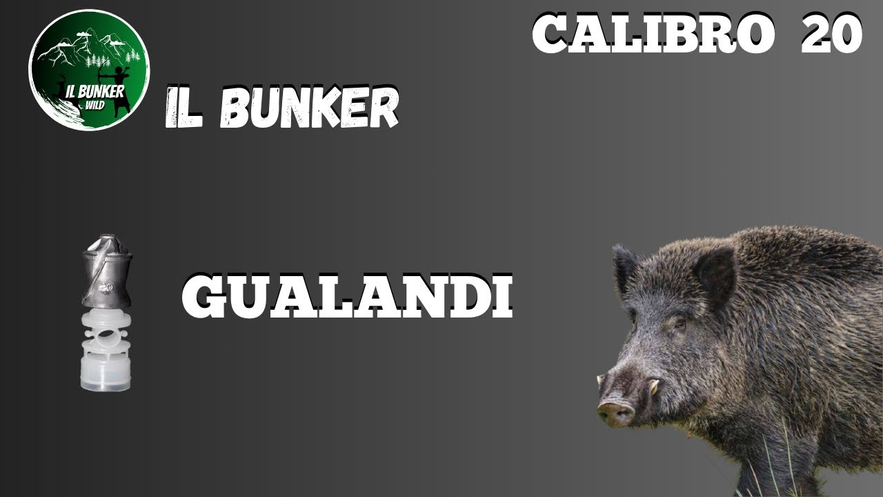 TEST ASSETTO PALLA GUALANDI - calibro 20.