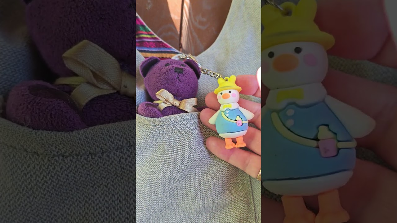 Does the Teddy Bear need a toy? 🐻🪿