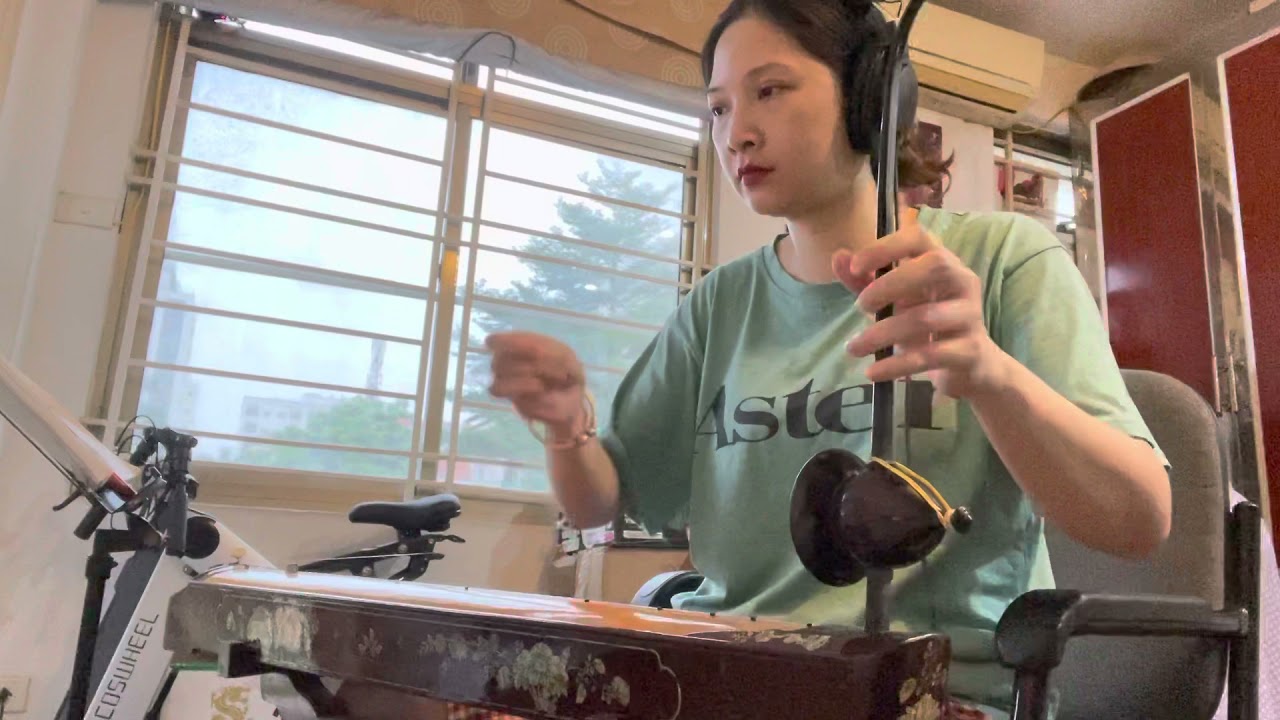 Rặng trâm bầu- Thái Cơ/ đàn bầu Lệ Giang