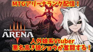 悪名高き狼「ショウ」ch.の配信のサムネイル画像