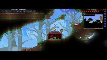 An Ear-Bleeding Moment with Rinieri