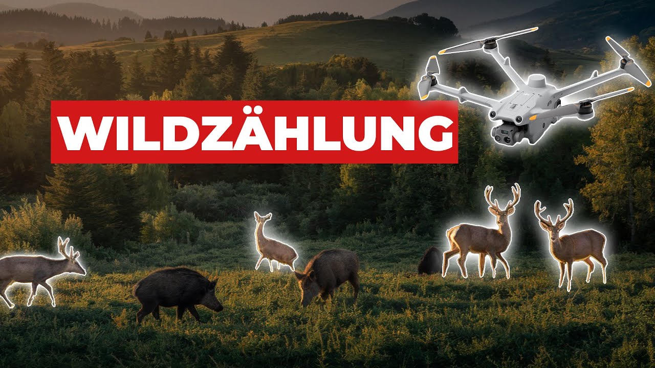 DAMIT übersiehst du NICHTS! - Drohne für die Wildzählung erklärt