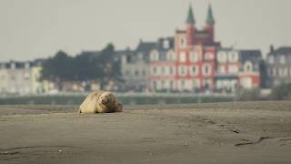 Geniet Een Natuurweekend Lang Van De Baai Van De Somme
