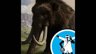 Can science bring back extinct species?