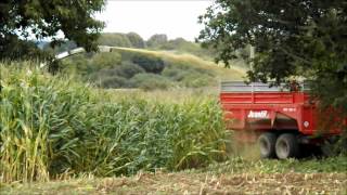 Ensilage Mais 2014 en Cotes d'Armor