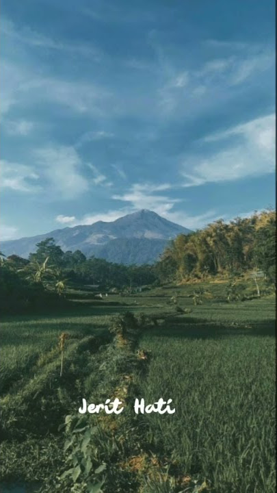 Last child-Dunia Untukmu story wa