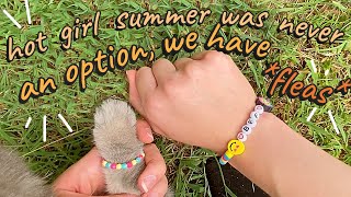 I Made Friendship Bracelets for Me and My Cat by Ellie Dee 8,594 views 2 years ago 10 minutes, 1 second