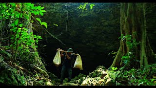 Download Lagu CAMPING MENCARI KOTORAN KELELAWAR DI GUA PURBA MP3 Download Lagu CAMPING MENCARI KOTORAN KELELAWAR DI GUA PURBA MP3