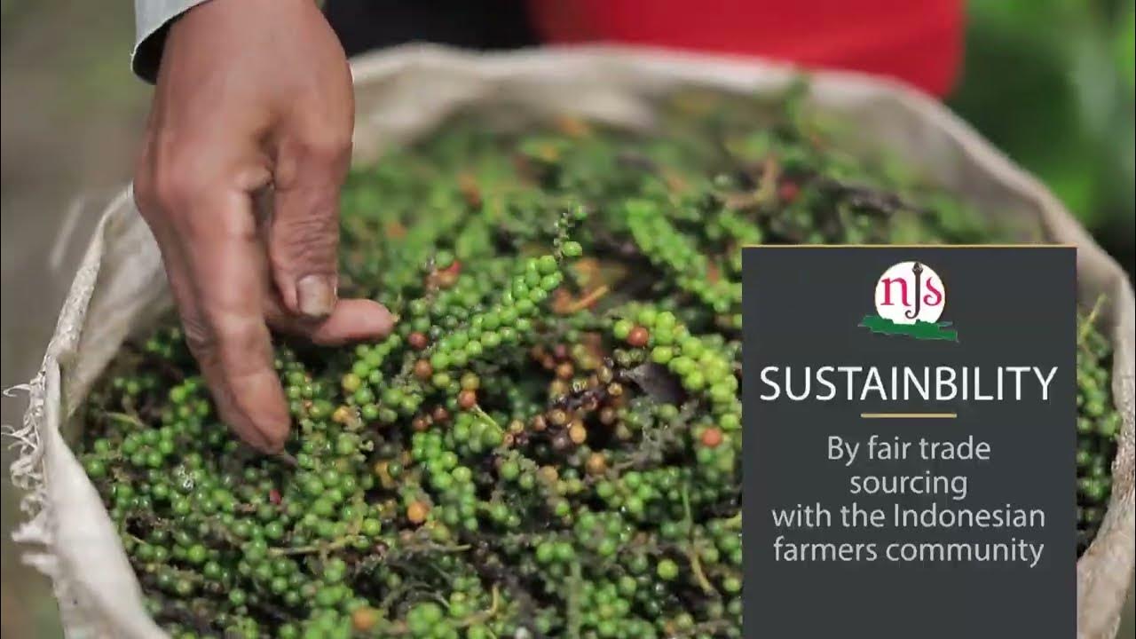 Natural Java Spice - video presentation 2022 - YouTube