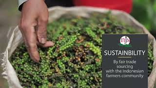 Natural Java Spice - video presentation 2022