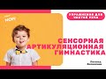 Сенсорная артикуляционная гимнастика. Как поставить звуки