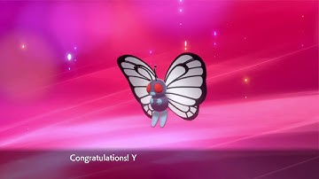 Pokemon Sword / Shield Butterfree
