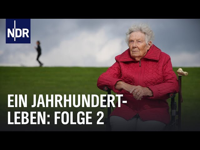 geigenfeige kaufen ikea Ficus Lyrata (Geigenfeige) verzweigter Stamm | Eileen main image 1