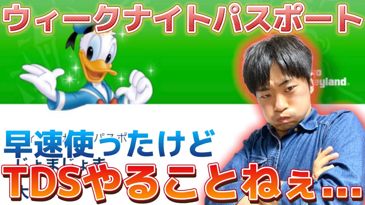 早速 ウィークナイトパスポート 使ったけど 正直ディズニーシーは微妙でした Youtube