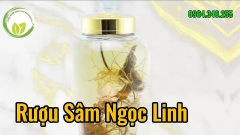 Rượu Sâm Ngọc Linh bổ dưỡng quý hiếm, đặc biệt chất lượng